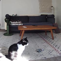 Comfort Works Article Sven Couch Cover