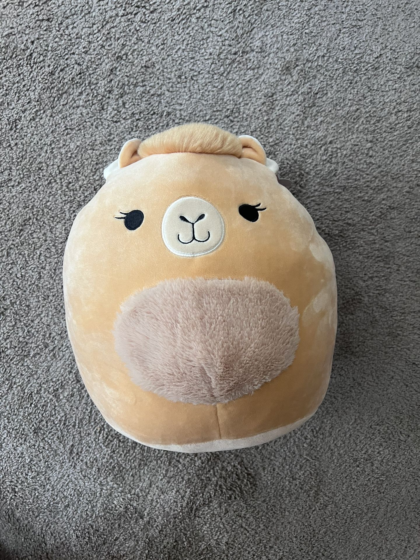 NWT Rahima The Camel 12” Squishmallow