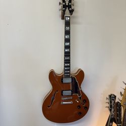 d angelico semi hollow body guitar 