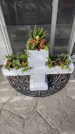 Succulents BIG cross