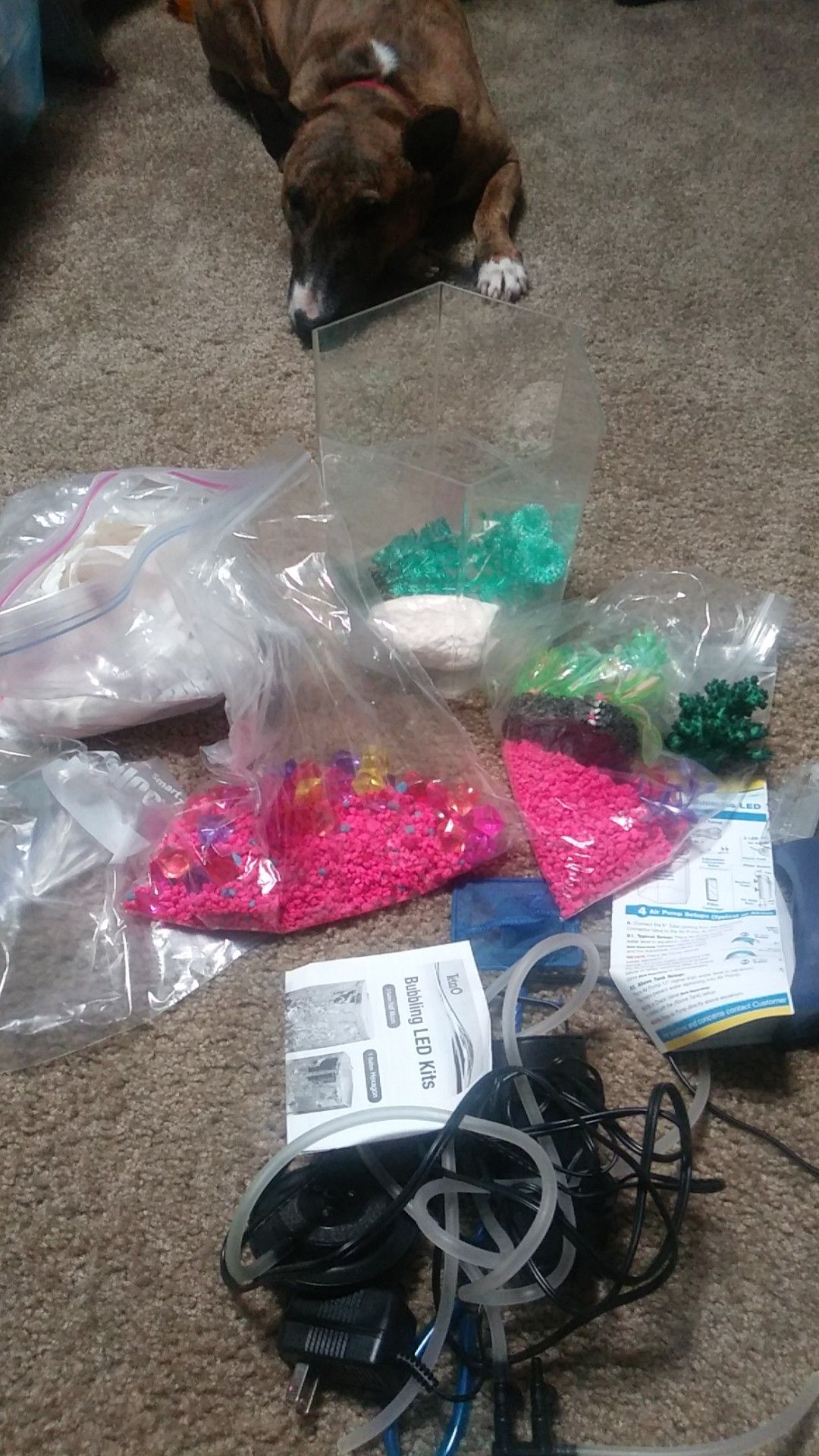 Fish tank complete with decorations and filter