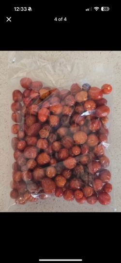 Chiltepin