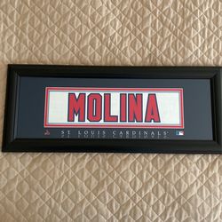 MOLINA Glass Covered With Black Frame.