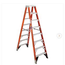 10 Step double Sided Ladder