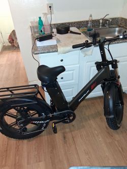 Electric bike