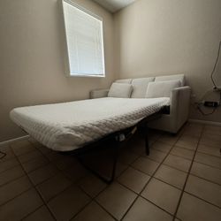 Sleeper Couch / Futon