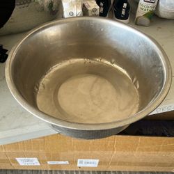 Dog Bowl