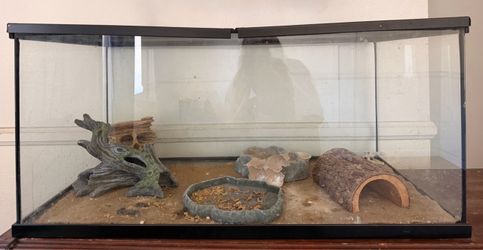 Aquarium 3ft x 1ft 5in x 1ft 6in $40 pick up only