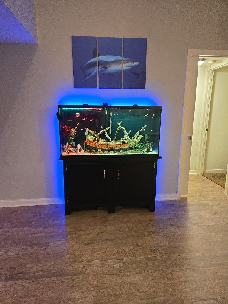 65 Gallon Fish Tank With Everything in picture