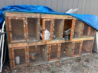 Chicken coop