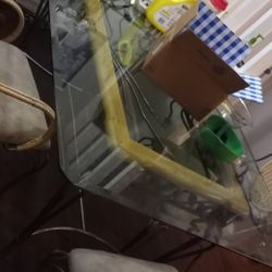 Glass Dining Table 