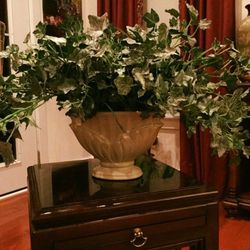 Home Decor - Artificial Plant