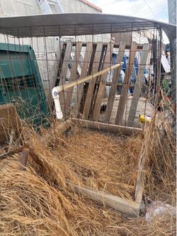 rooster cage