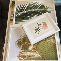All Pictures For $15