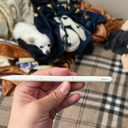 apple pencil gen2