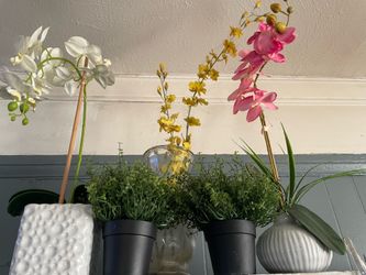 Fake house plants