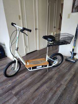 Ecosmart electric scooter razor
