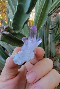 Amethyst Crystal Cluster - Rare Minerals