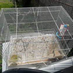 Birdcage 