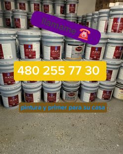 Paint and primer