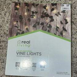 Real Living Cascading Vine LED Solar Light Set, 66-Lights