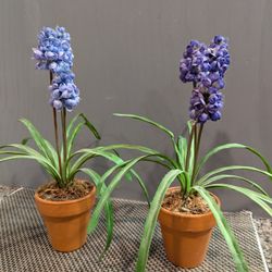 Decoration Flower Pots