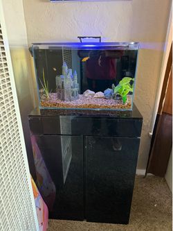 25 gallon tank
