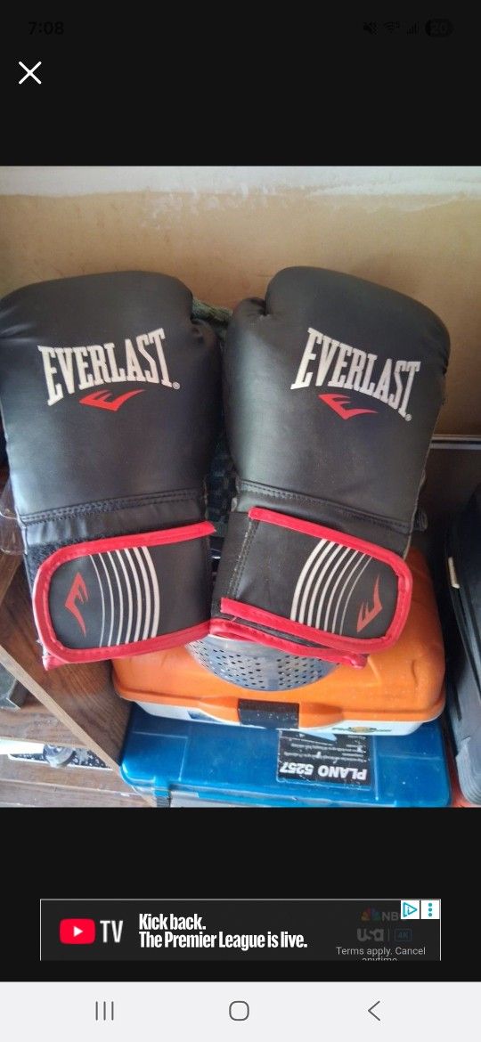 12 Oz Everlast Boxing Gloves
