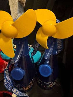Disneyland Water Fan