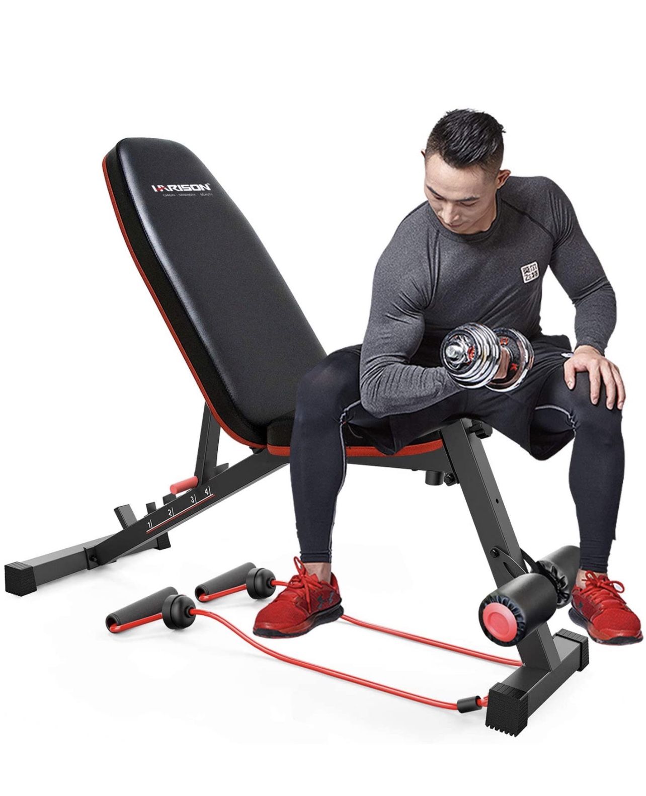 Workout Bench | 550 LB