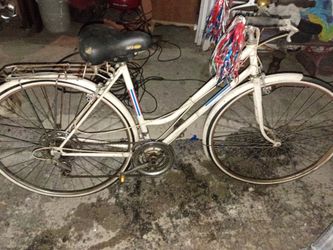 Ted Williams 1970 Beach cruiser free spirit