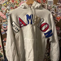 champion hoodie 
