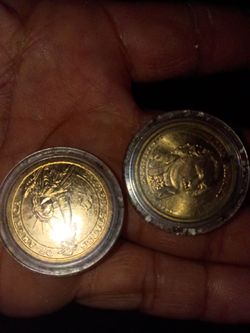 2 $1 dollar Coins