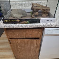 Mini Reptile Glass Habitat