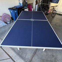 Ping Pong Table (STIGA)