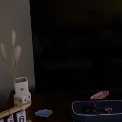Vizio 40in 