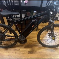 Totguard E-bike 