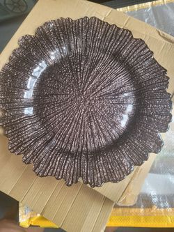Set of 10  13 inch Charger Plates - NEW