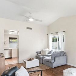 Reclining Couch Love Seat