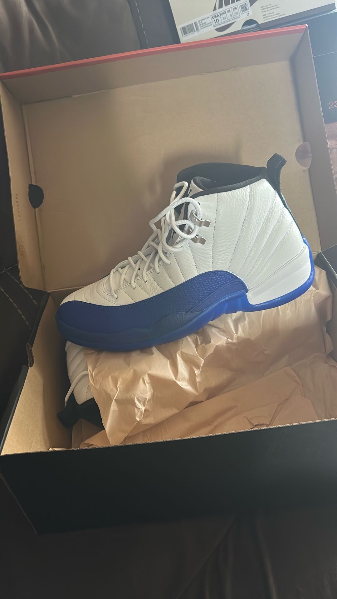 Air Jordan 12