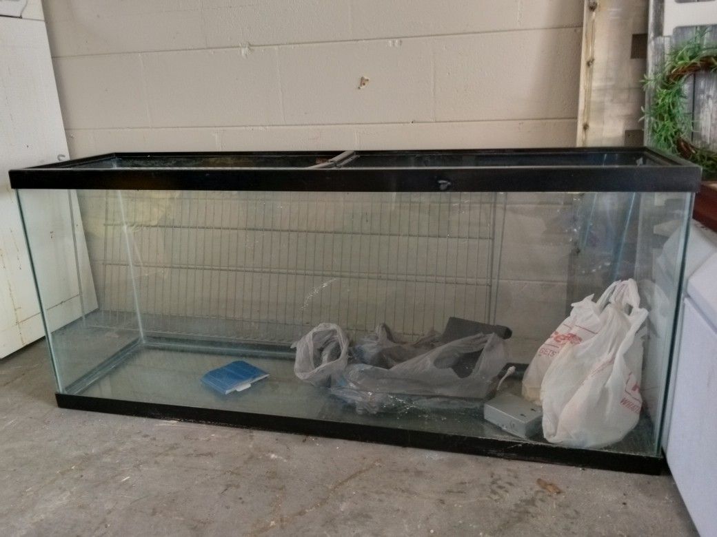 Fish Tank