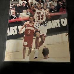 Scottie Pippen Signed Picture