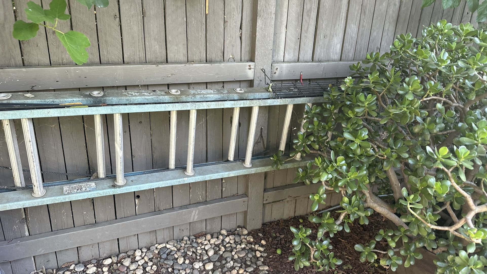 Ladder