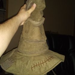 Harry Potter talking sorting Hat