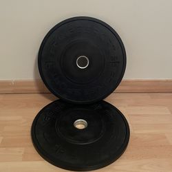 10 LB Bumper Plates