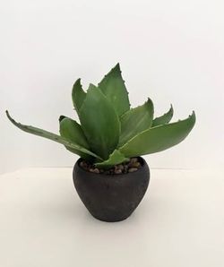 Artificial Succulent Plant in Black Pot