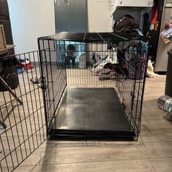 Large Dog Cage