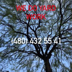 Tree trimming, palm tree trimming, general maintenance, paver, travertine, grass synthetic sprinkler, systems  