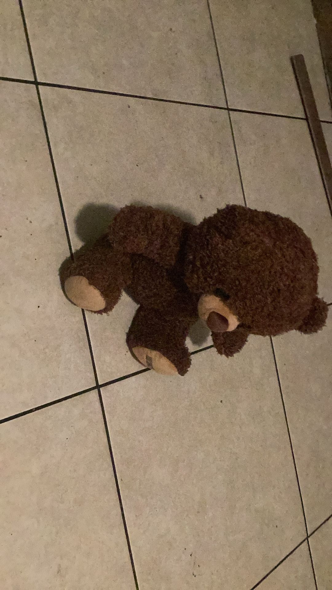 Teddy Bear