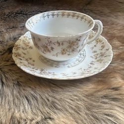 Tea Cup 